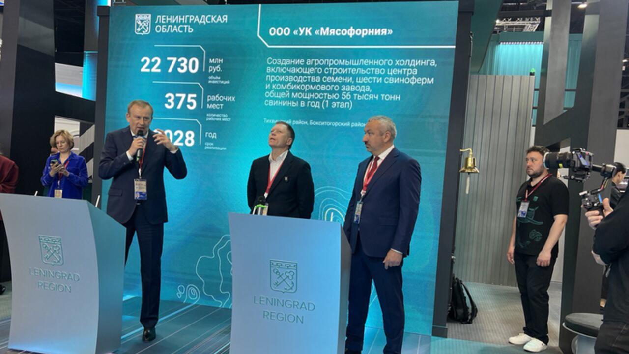 Ленобласть развивает производство свинины