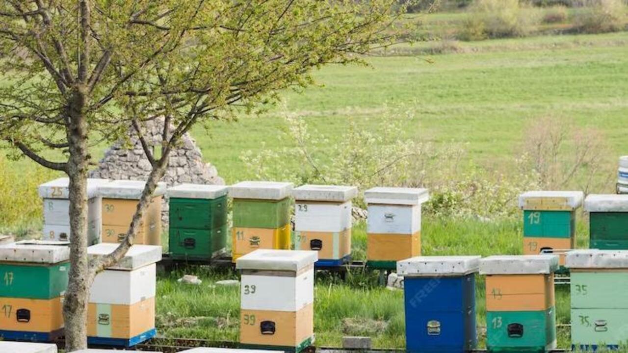 Уведомление о проведении работ по применению пестицидов и аrрохимикатов