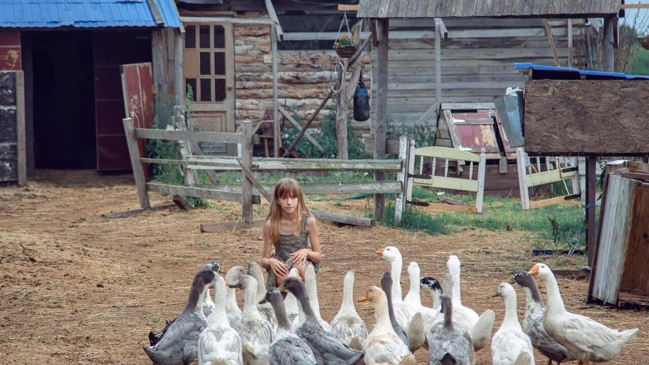 В погоне за мечтой