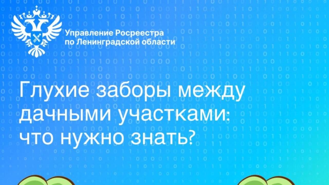 Глухие заборы между дачными участками: что нужно знать?
