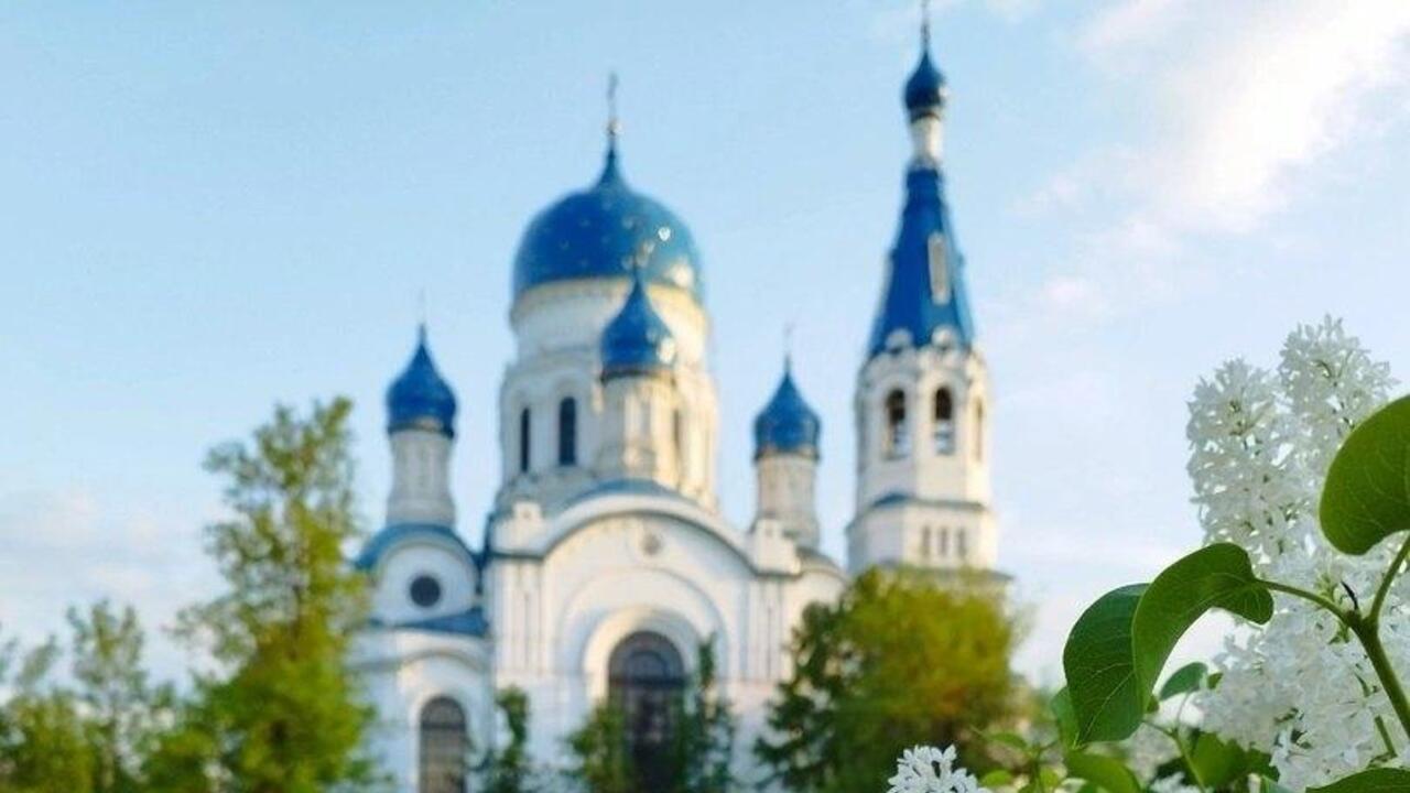 «Сиреневая Гатчина»