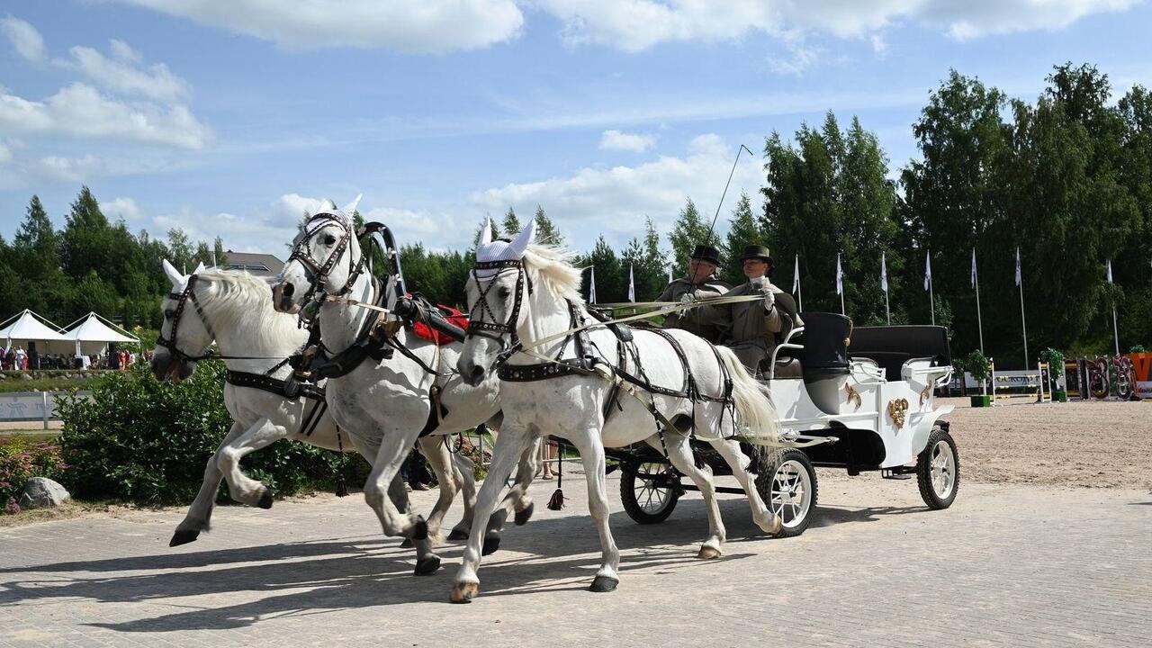 Тройка из Павловска впервые примет участие в V Чемпионате русских троек «Крылатое сердце России»