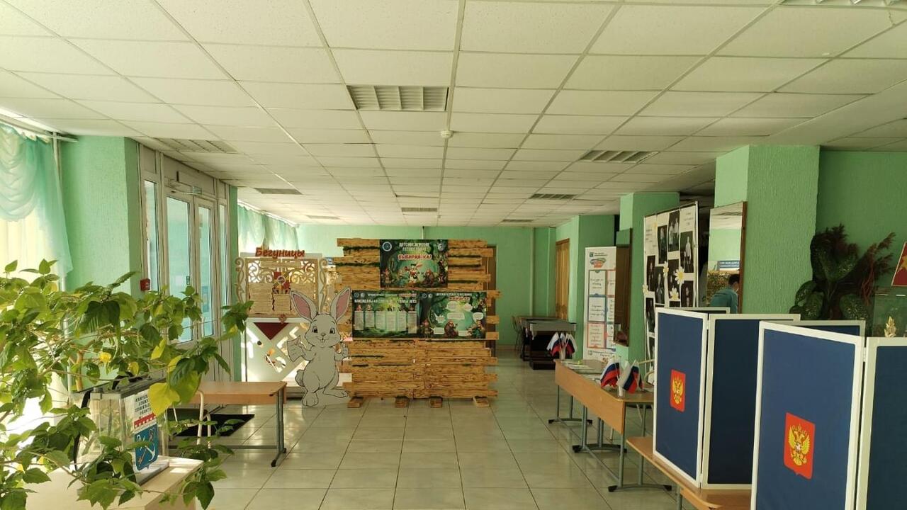 Выборы урокам не помеха