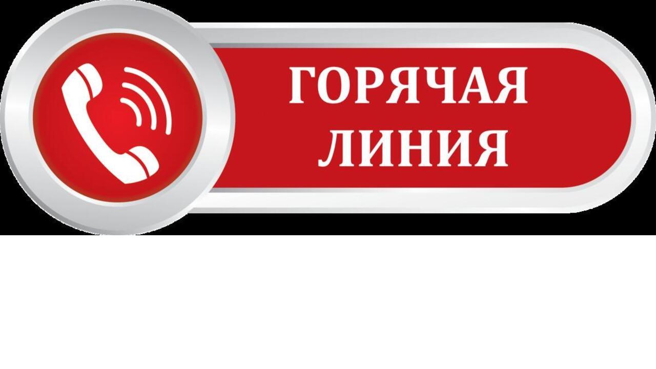 «Горячая линия» по вопросам реализации и защиты прав участников СВО и членов их семей