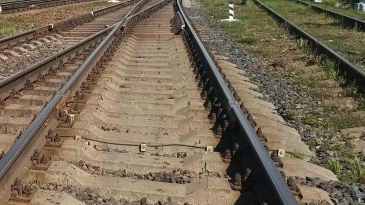 Восстановлено движение поездов на участке Петербург — Луга