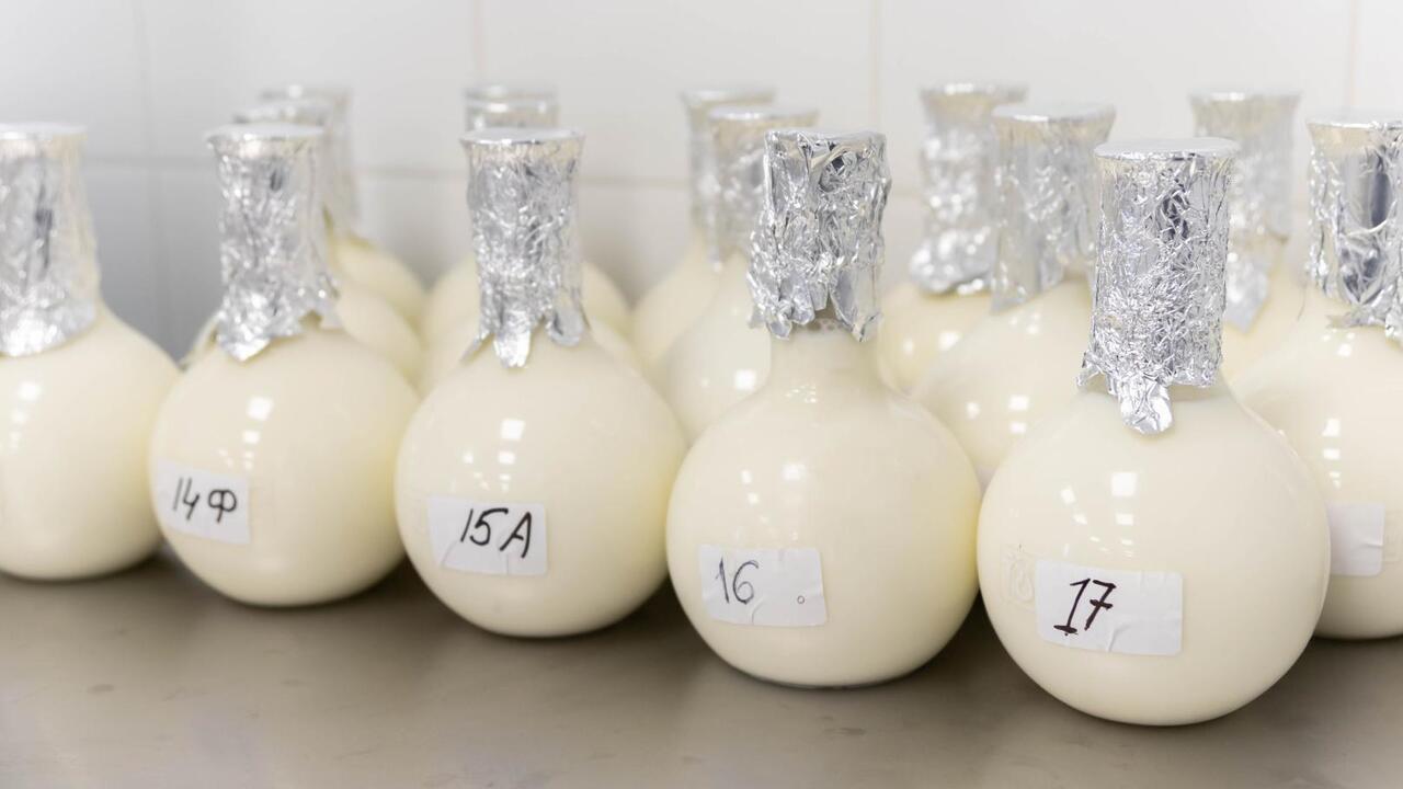 Молоко высшей пробы