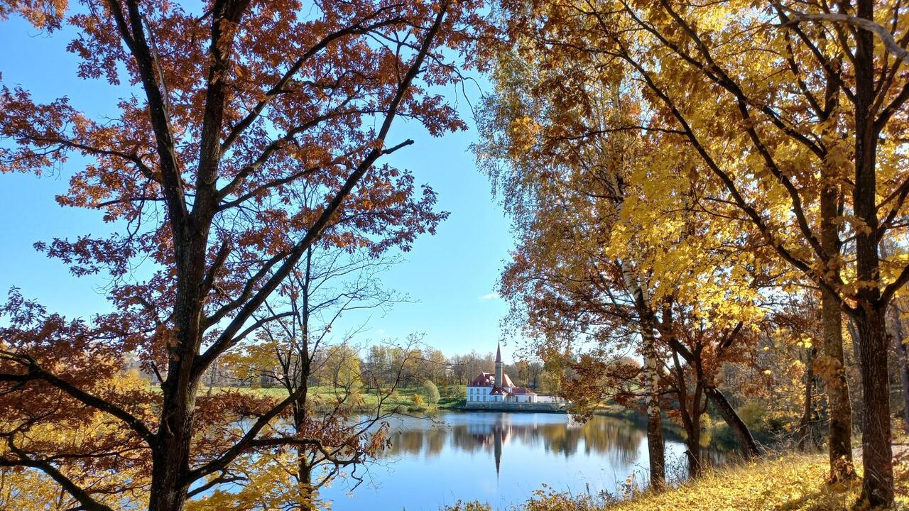«Мой осенний парк» глазами гатчинских фотолюбителей