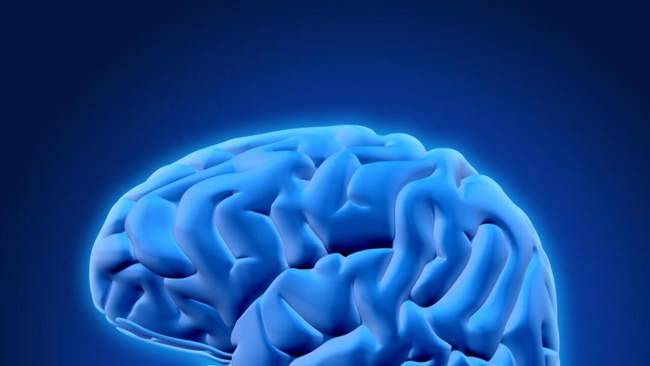 Не таблетка, а тренировка: эксперт Пироговского Университета о реальной пользе изучения языков для мозга