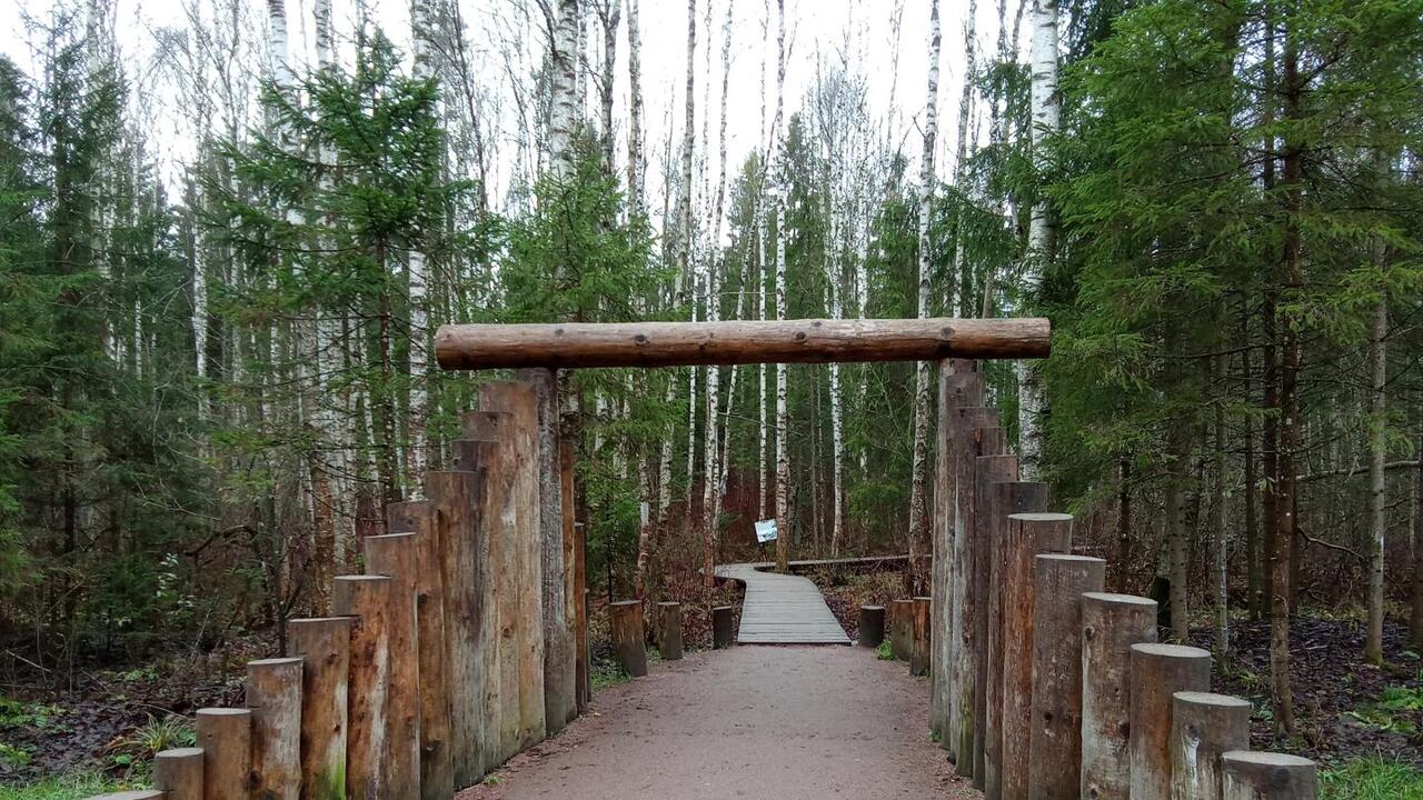 Парк Зверинец: удивительное рядом