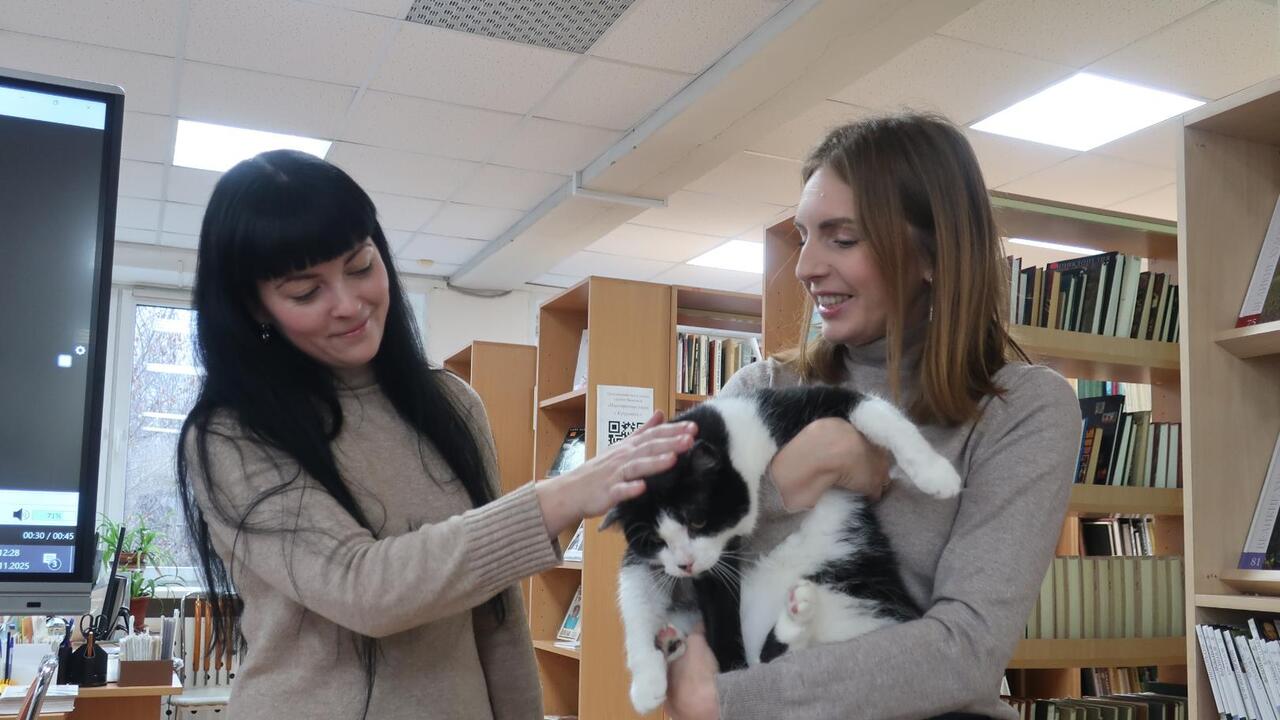 Кошачьи истории от «Чуткого сердца»