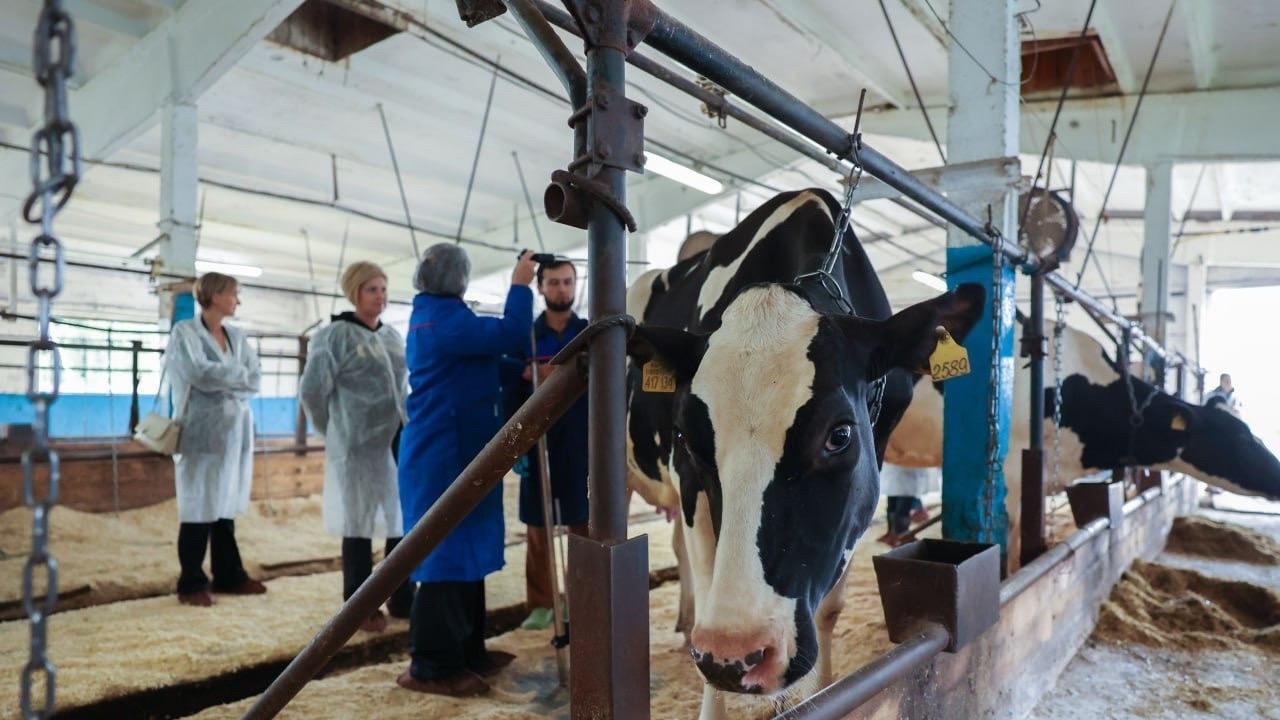 Начать профессию в сфере сельского хозяйства в Ленобласти можно со школьной скамьи