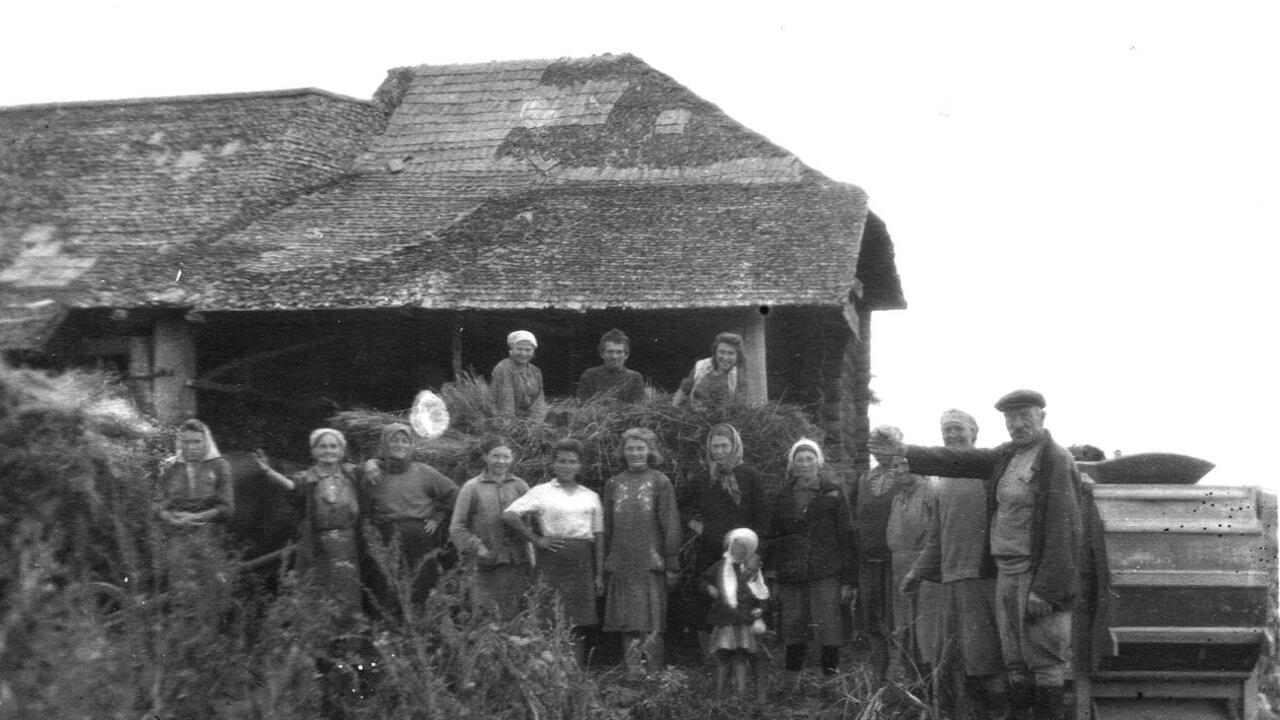 Рыбицы – деревня с интересным названием. Часть 2