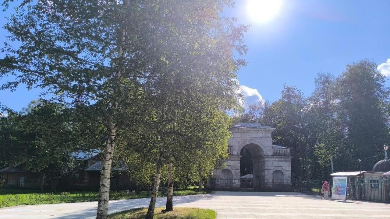 Ленинградский чат-бот собирает предложения по благоустройству