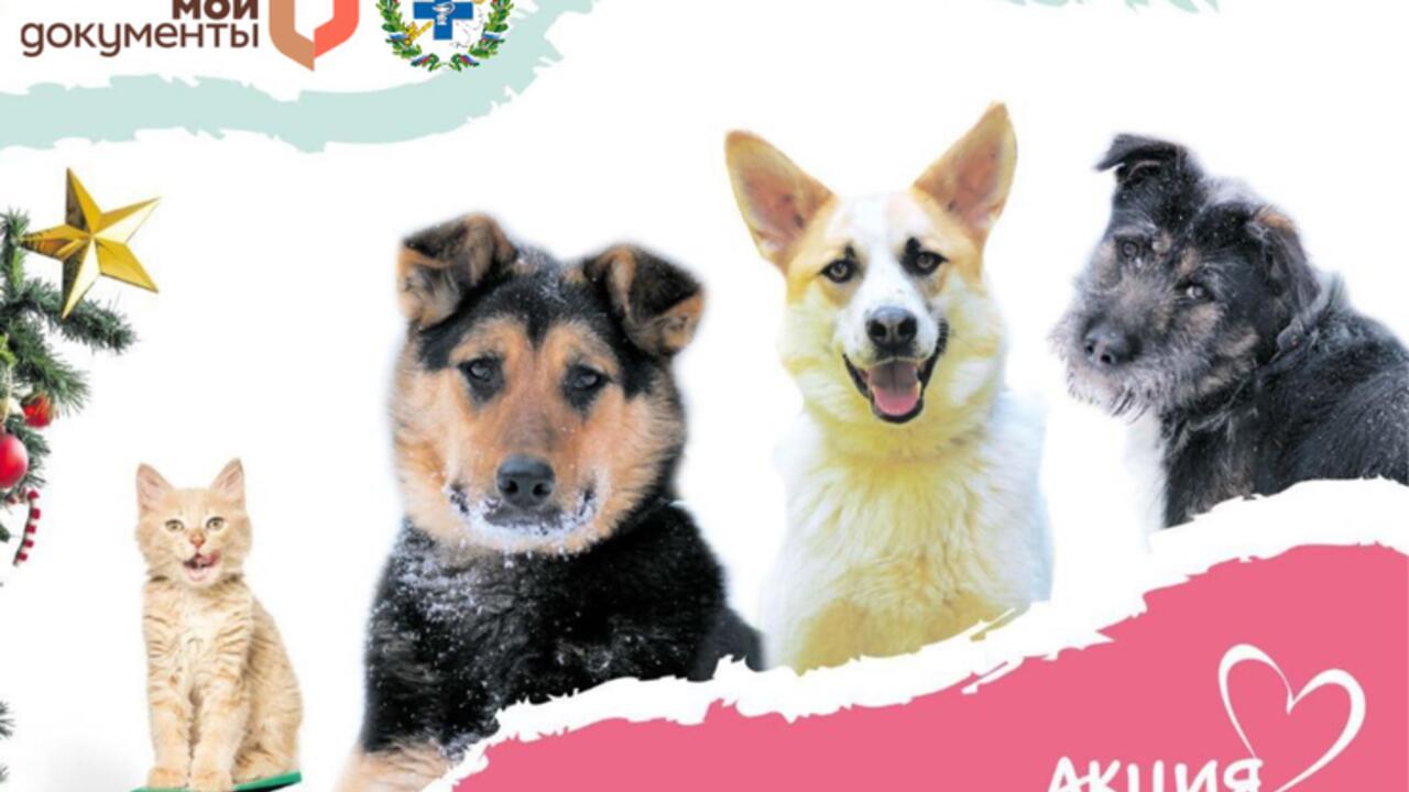 Здравствуй, «Сытый Новый год»!