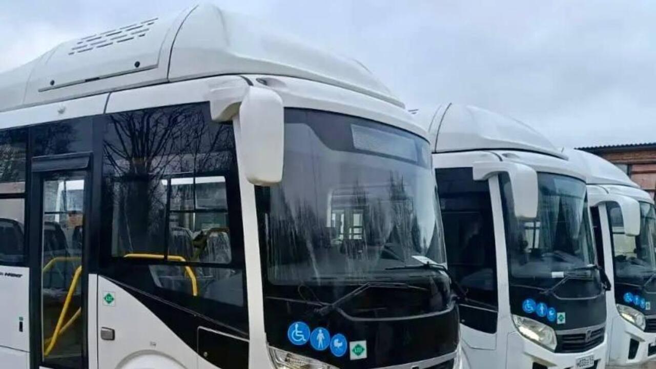 Подарок Гатчине к Новому году