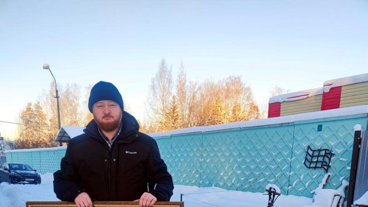 Гобелен с вырицким дубом