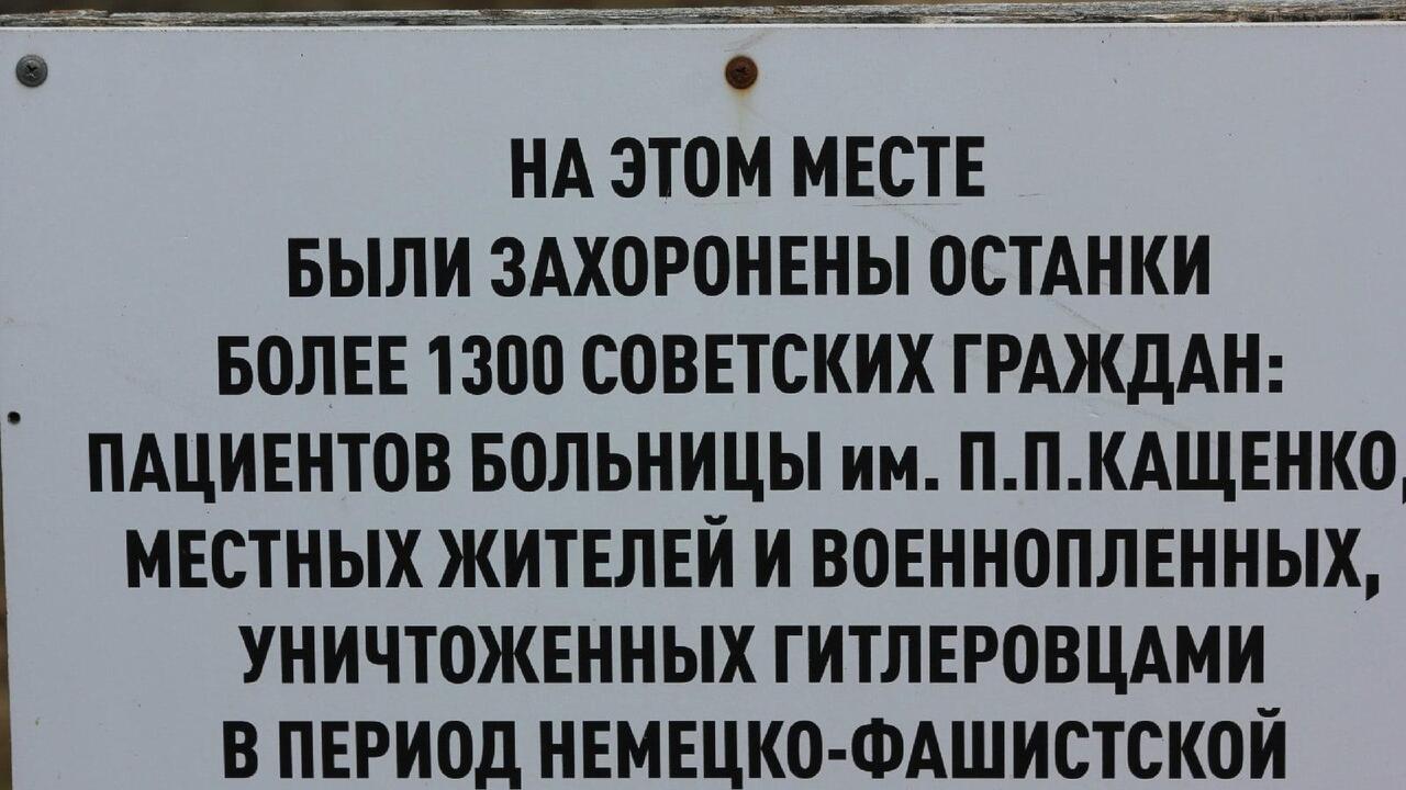 Рассекречены новые документы об убийствах нацистами душевнобольных в Гатчинском районе