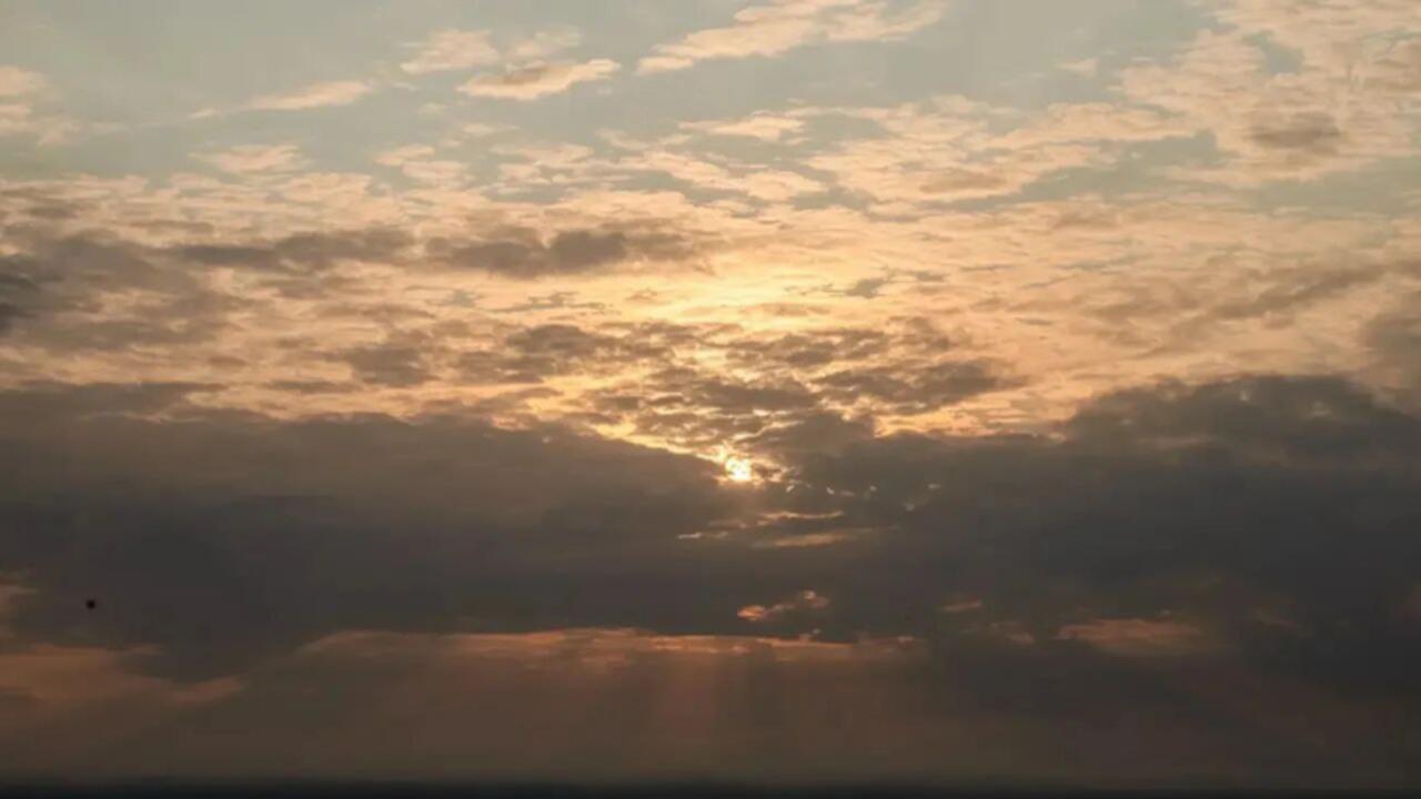 Ленобласть начинает разработку проекта «Чистая Ладога»