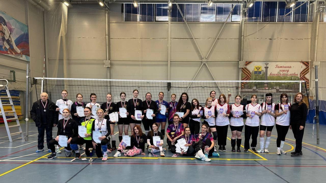 Чемпионат Гатчины  по волейболу