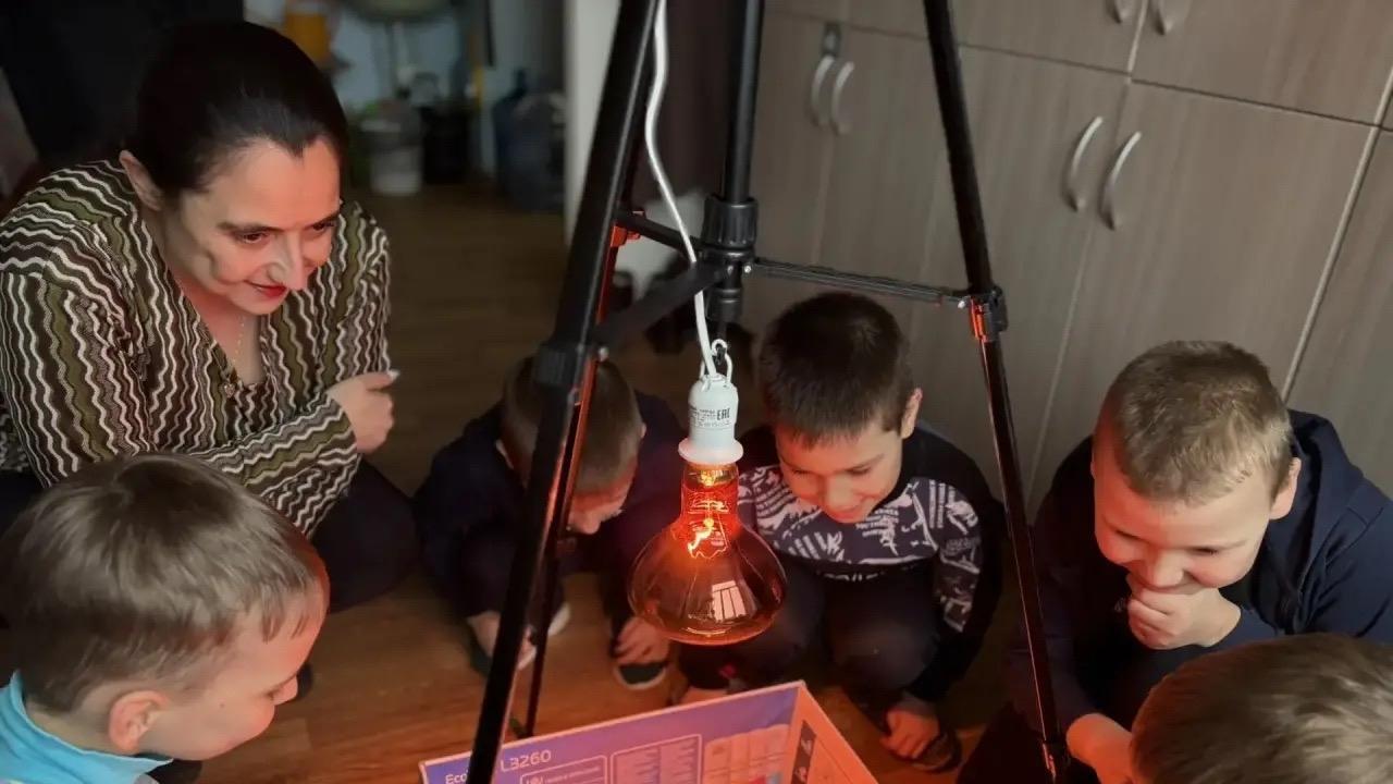 Агролята и цыплята