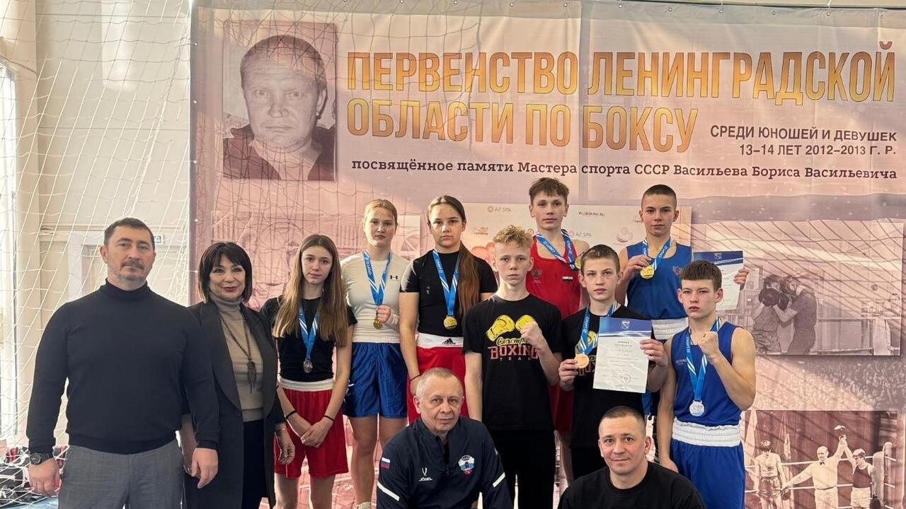 Боксеры встретились  в Вырице