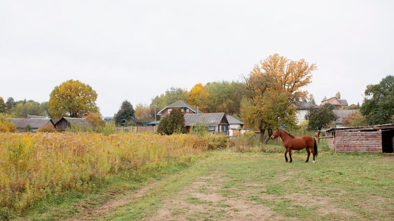 Пять деревень Гатчинского округа станут посёлками
