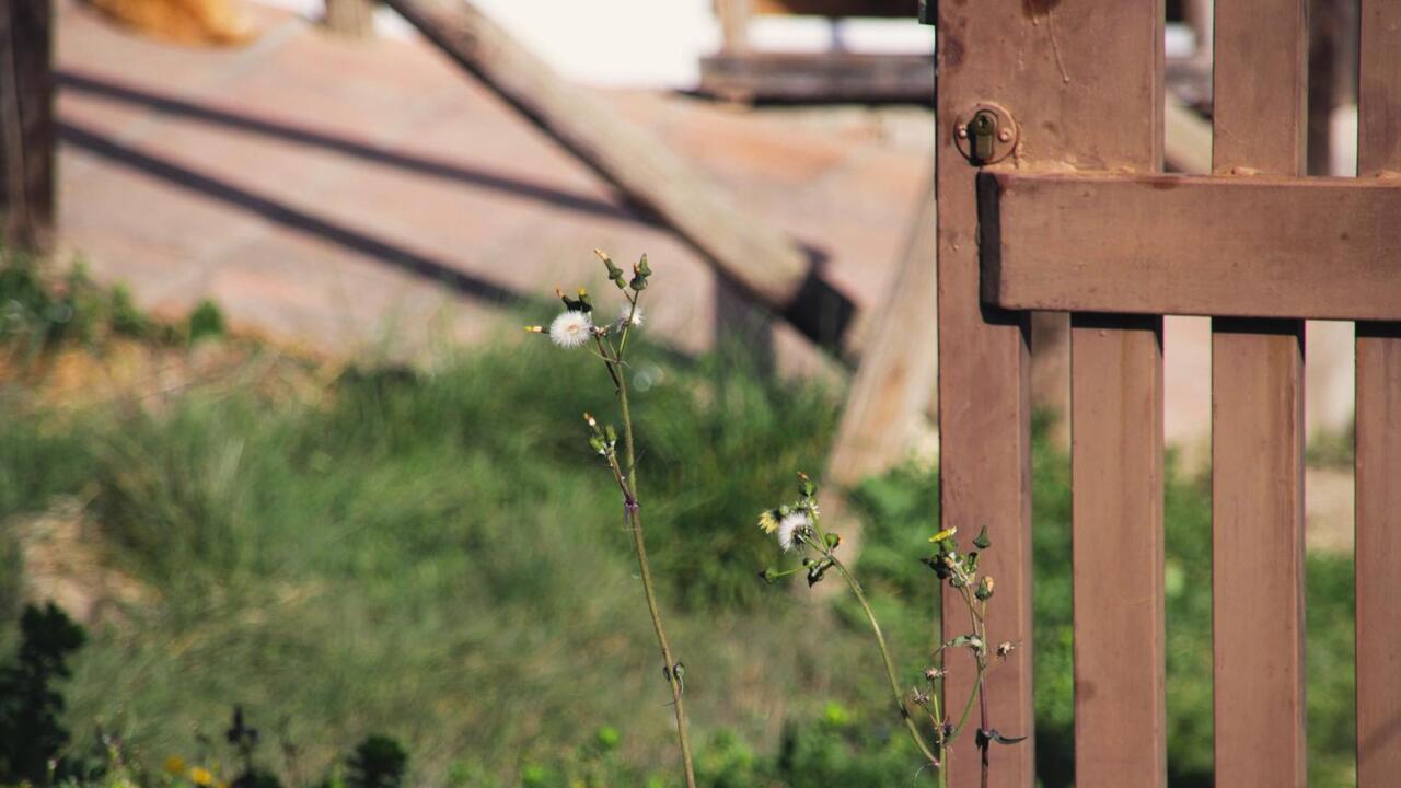 Если сведения о границах участка отсутствуют в ЕГРН