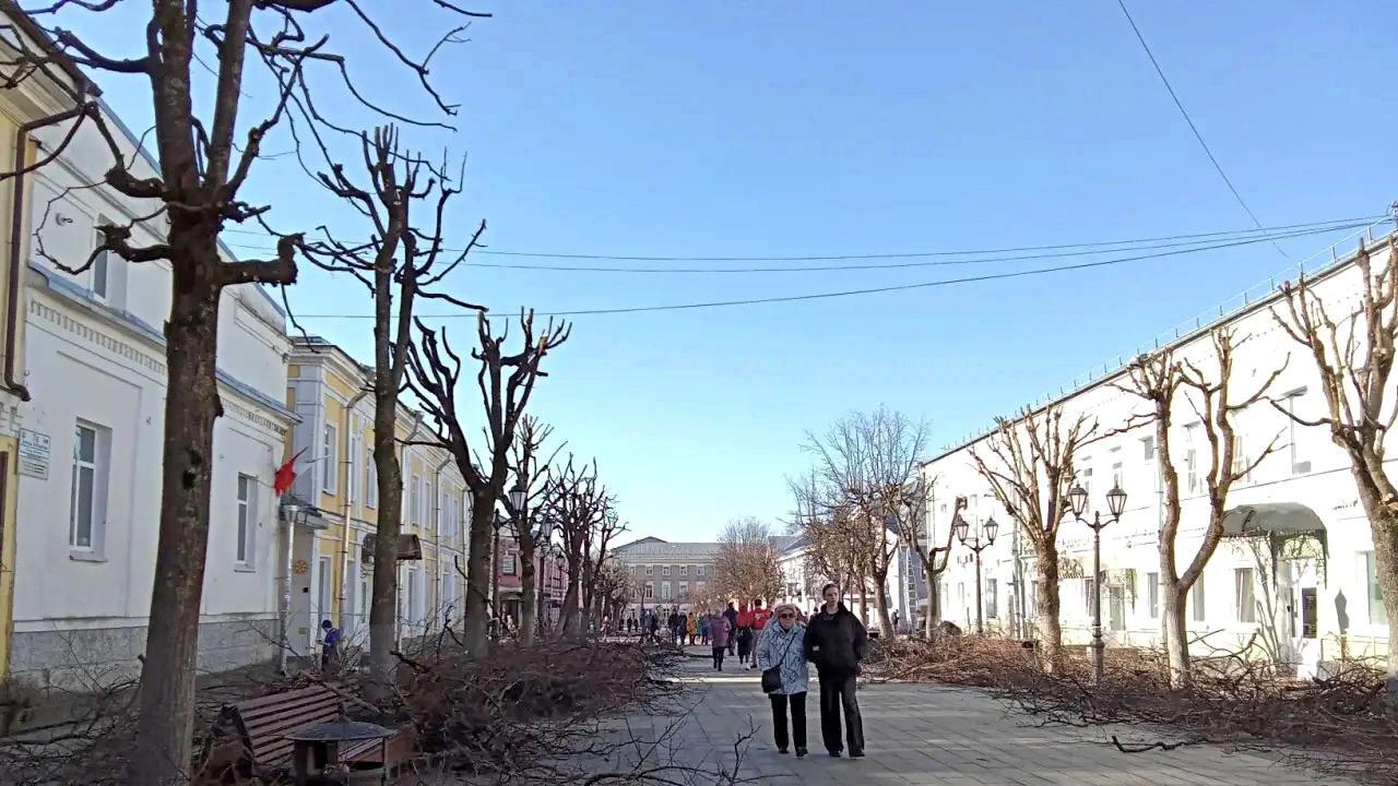 Соборную подстриг «Сервис зелёных насаждений»