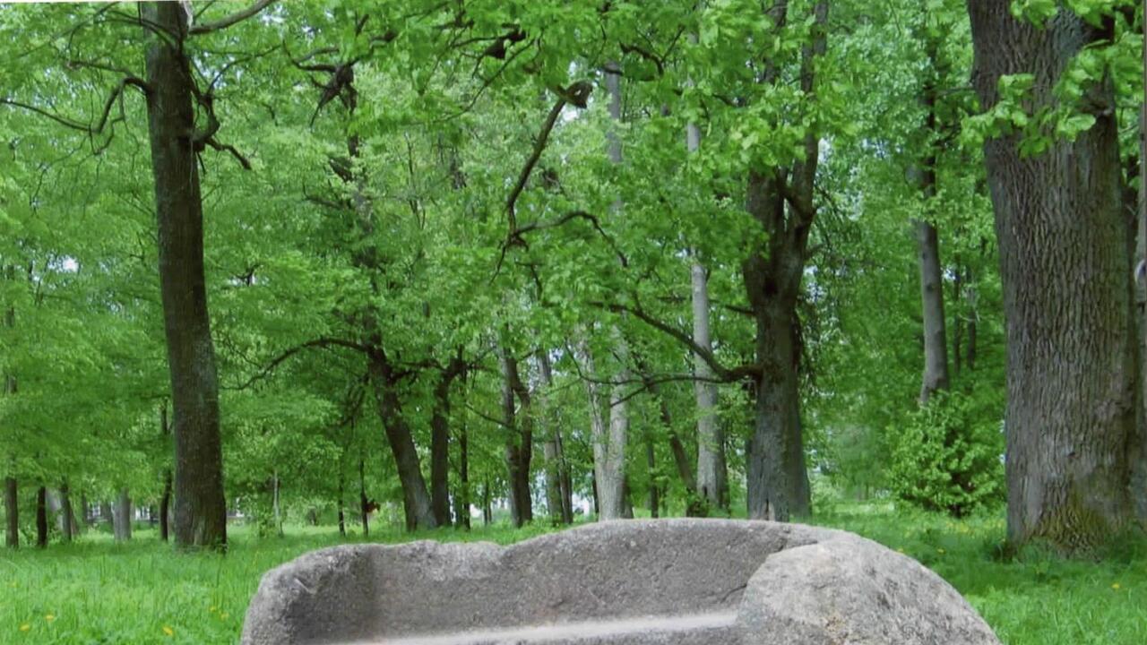 Парк бывшей усадьбы Ганнибалов в Суйде ждет реставрация