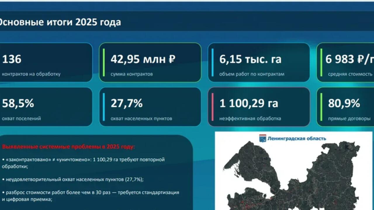 Ленобласть создаст единую службу по борьбе с борщевиком