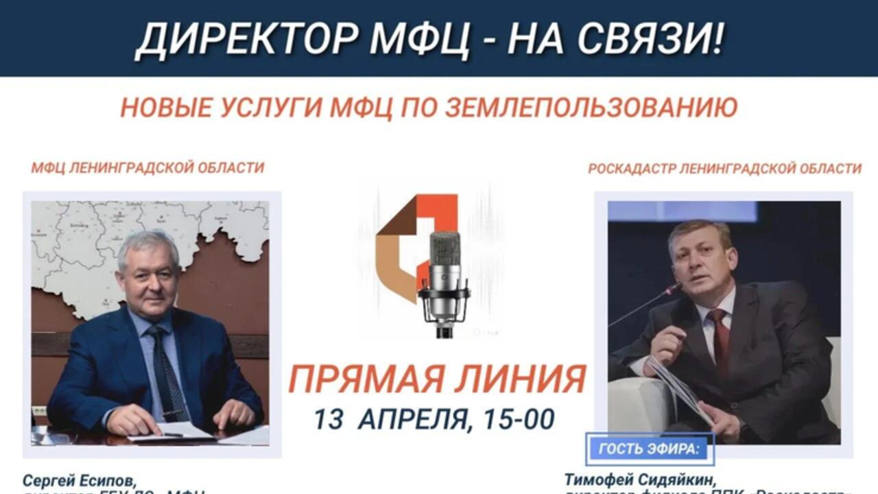 Горячая линия МФЦ и Роскадастра – о новых услугах