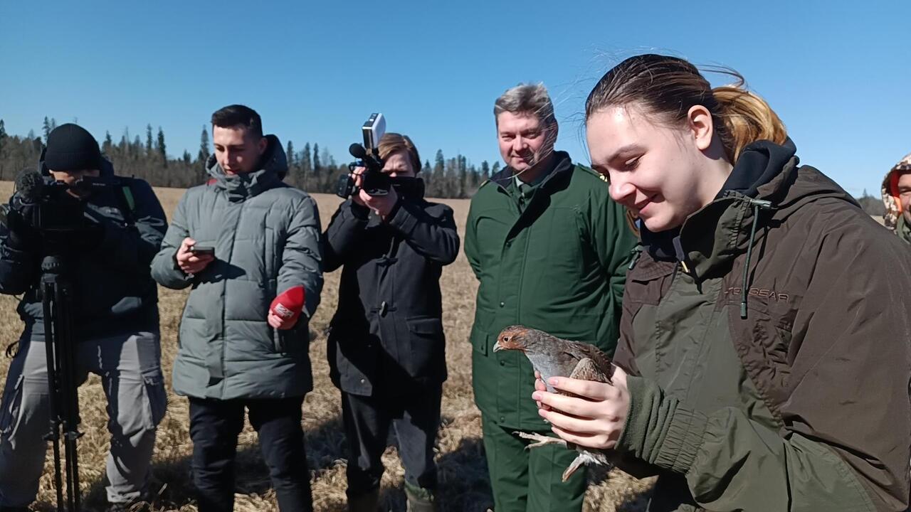 На волю птичку выпускаю…