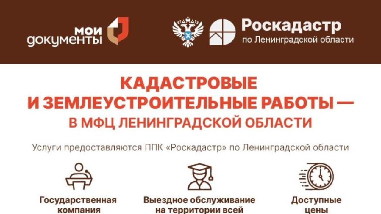 Услуги по кадастру и землепользованию - в МФЦ Ленинградской области