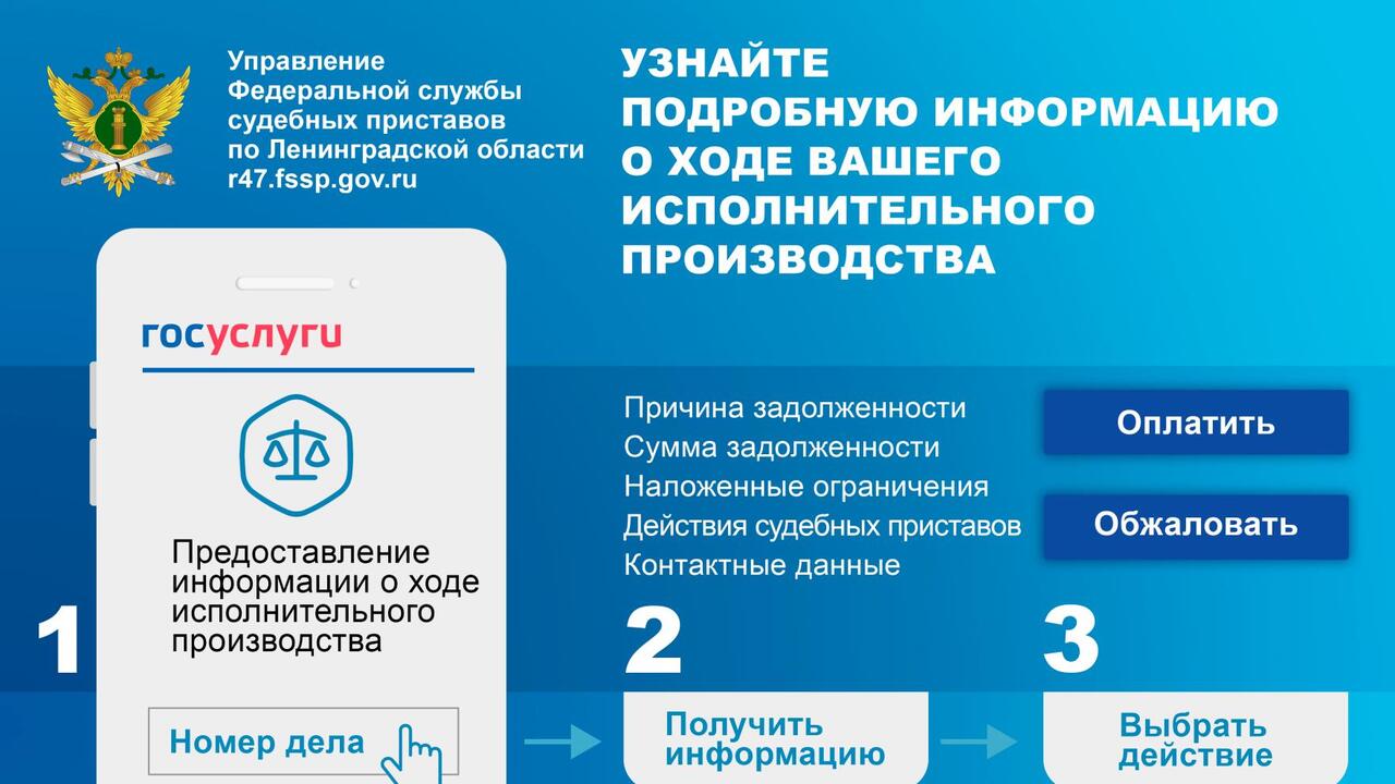 О долгах можно узнать на Госуслугах