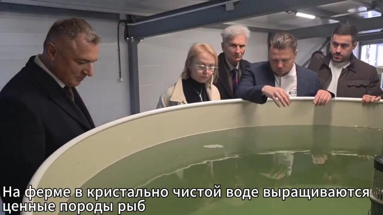 Тяглинскими осетрами заинтересовались в Ненецком автономном округе