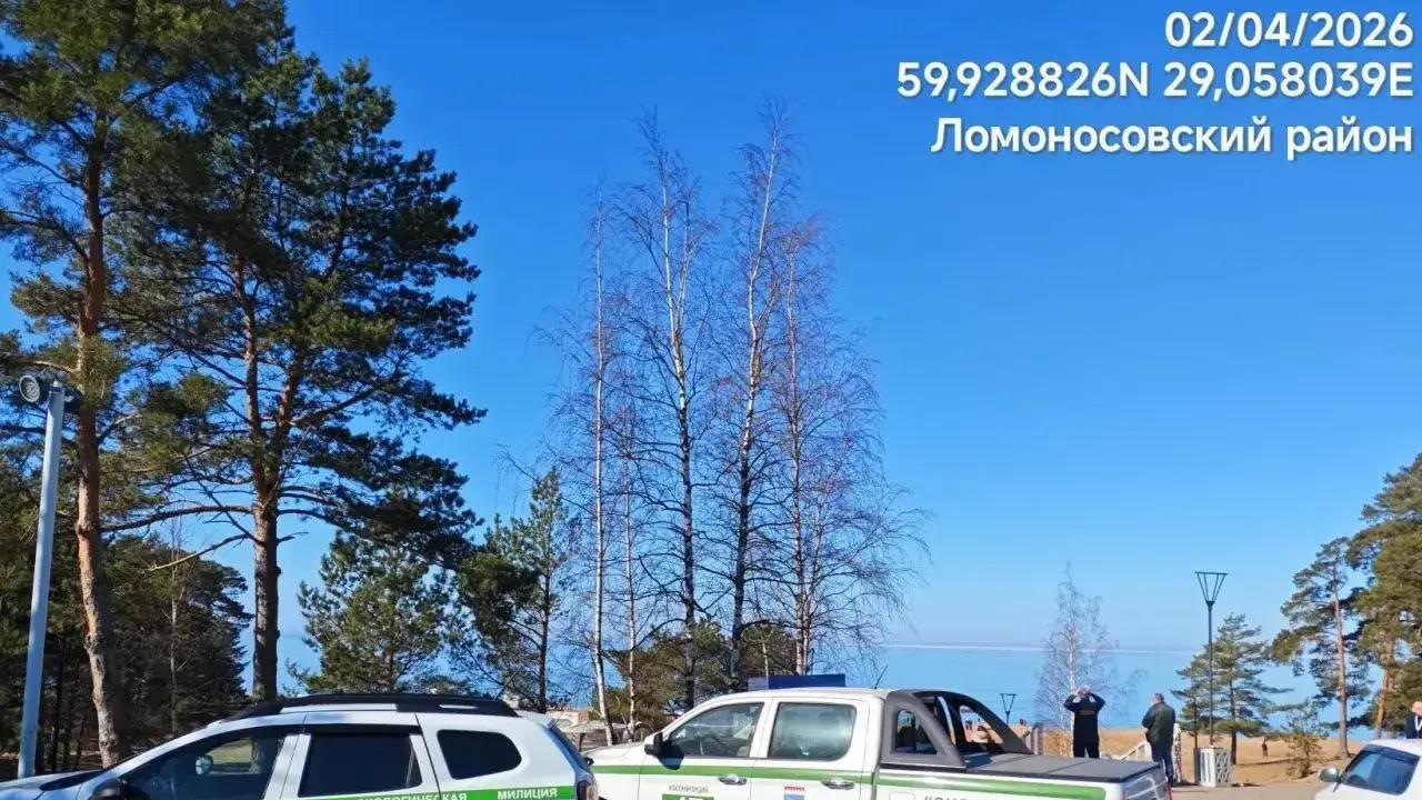 Экомилиция не подтвердила информацию о загрязнении акватории Финского залива в Сосновом Бору