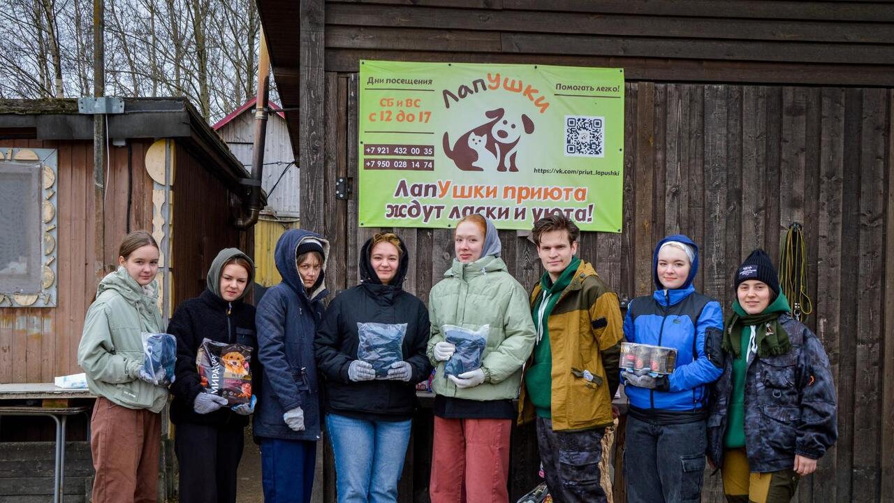 Помогаем пушистым друзьям!
