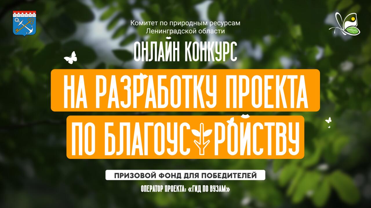 Создай свое: Ленинградская область ищет новые архитектурные решения для благоустройства
