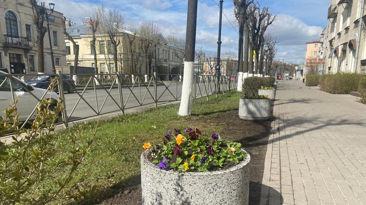 Весна в полном расцвете!