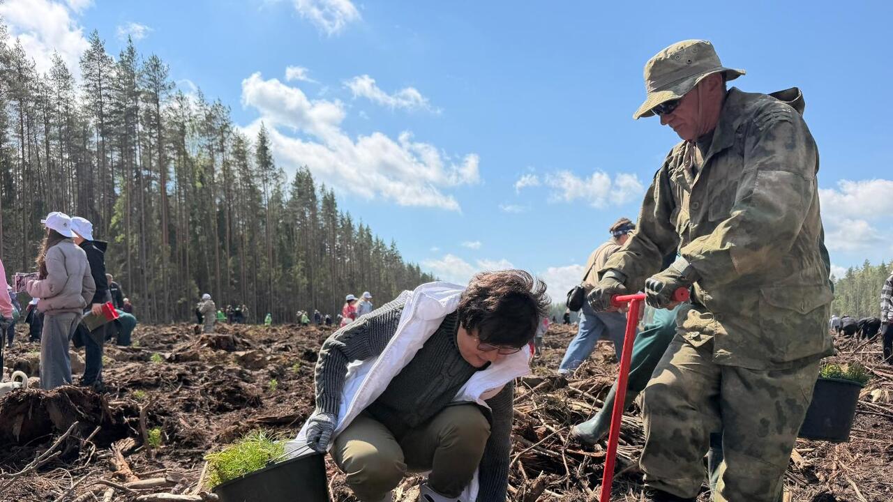 День посадки леса прошел в Орлинском лесничестве