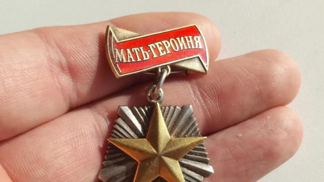 Матерям-героиням Ленобласти будут давать бесплатную землю