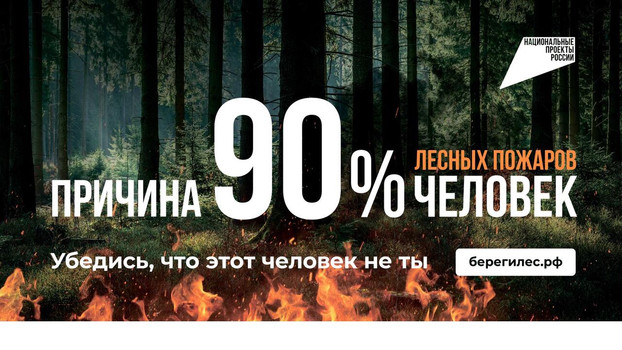 На опережение стихии: профилактика и борьба с лесными пожарами
