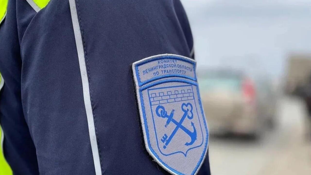 В Ленобласти проверили работу общественного транспорта и такси