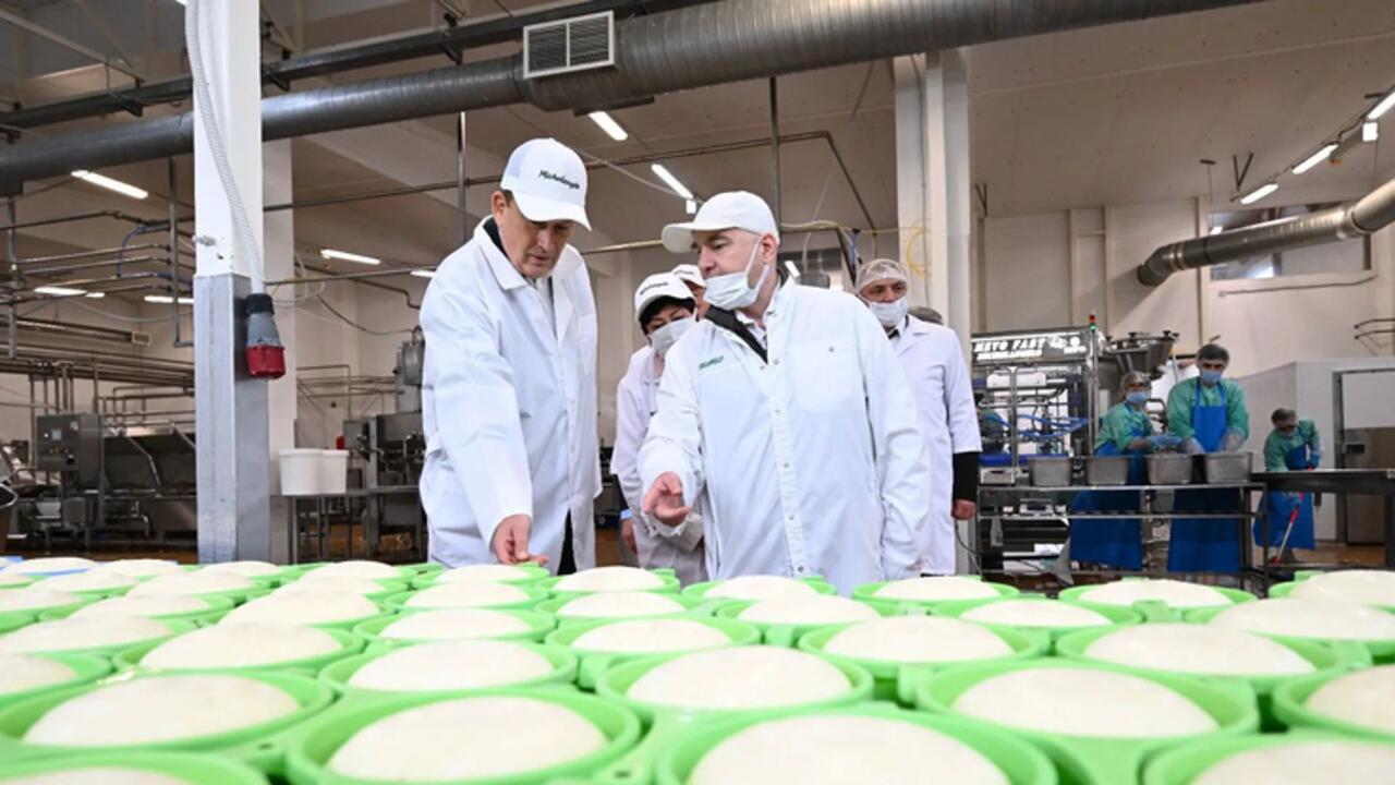 Ленобласть наращивает производство сыров в Кобралово