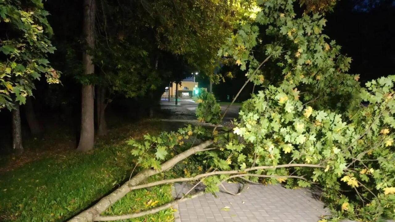 Акт вандализма в Гатчине