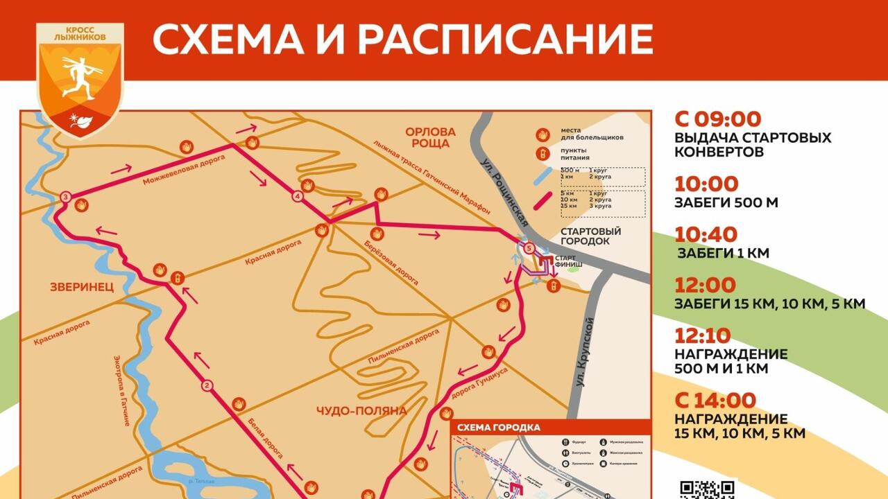 «Кросс лыжников» в Гатчине: что нужно знать