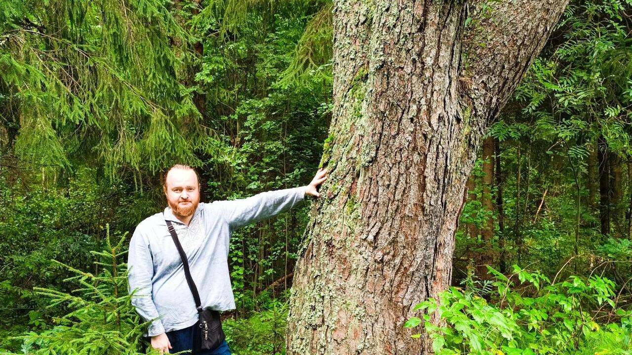 У Мельничного леса в Вырице появилось будущее