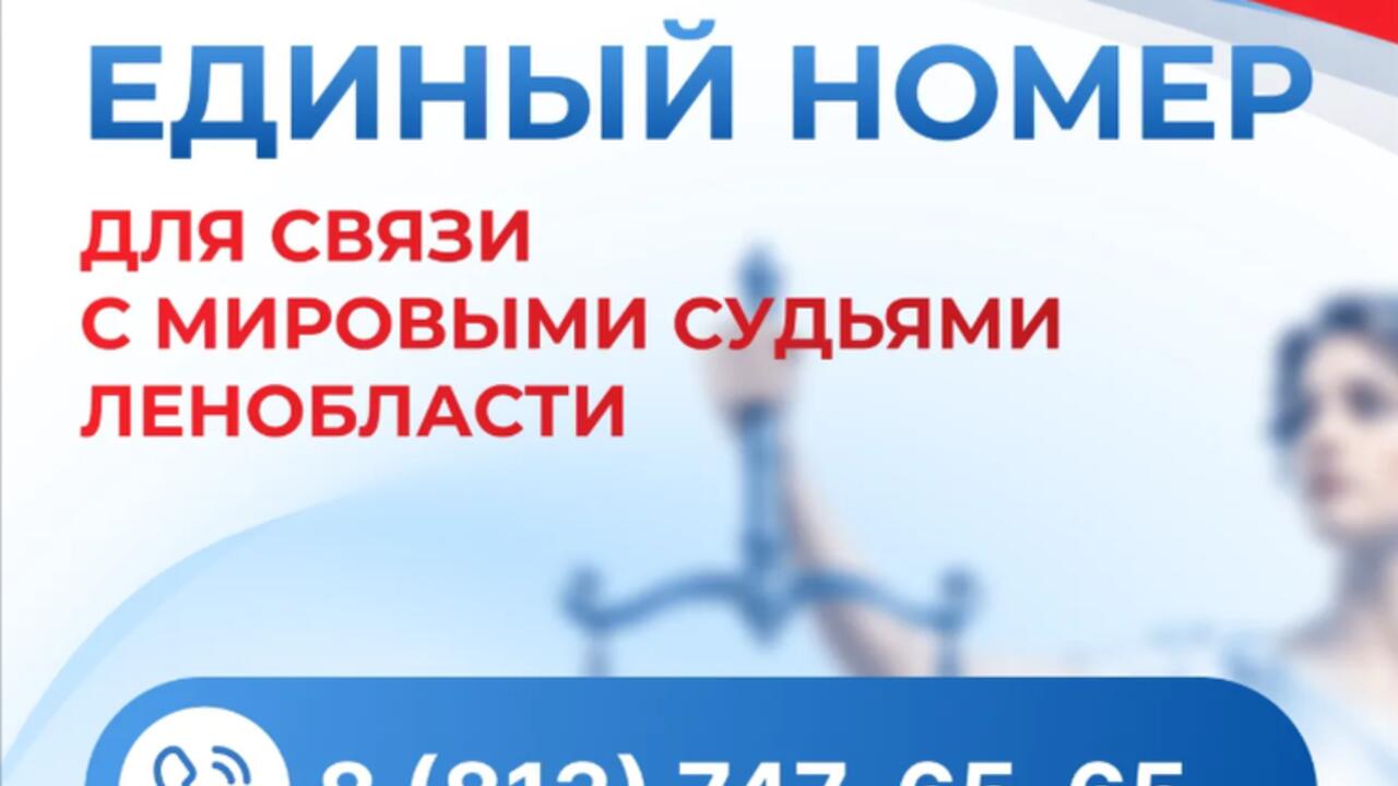 В Ленобласти заработает единый телефон для связи с мировыми судьями